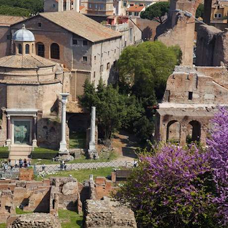 colosseum citywonders