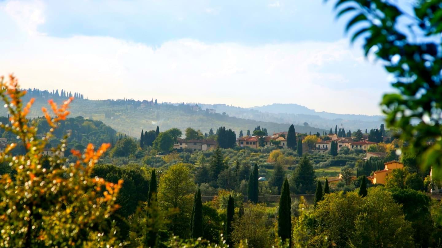 Florence Wine Tasting & Vineyard Tour with Meal City Wonders