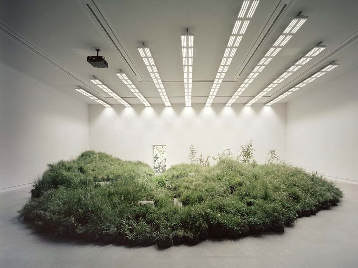 Biennale Festival 2018