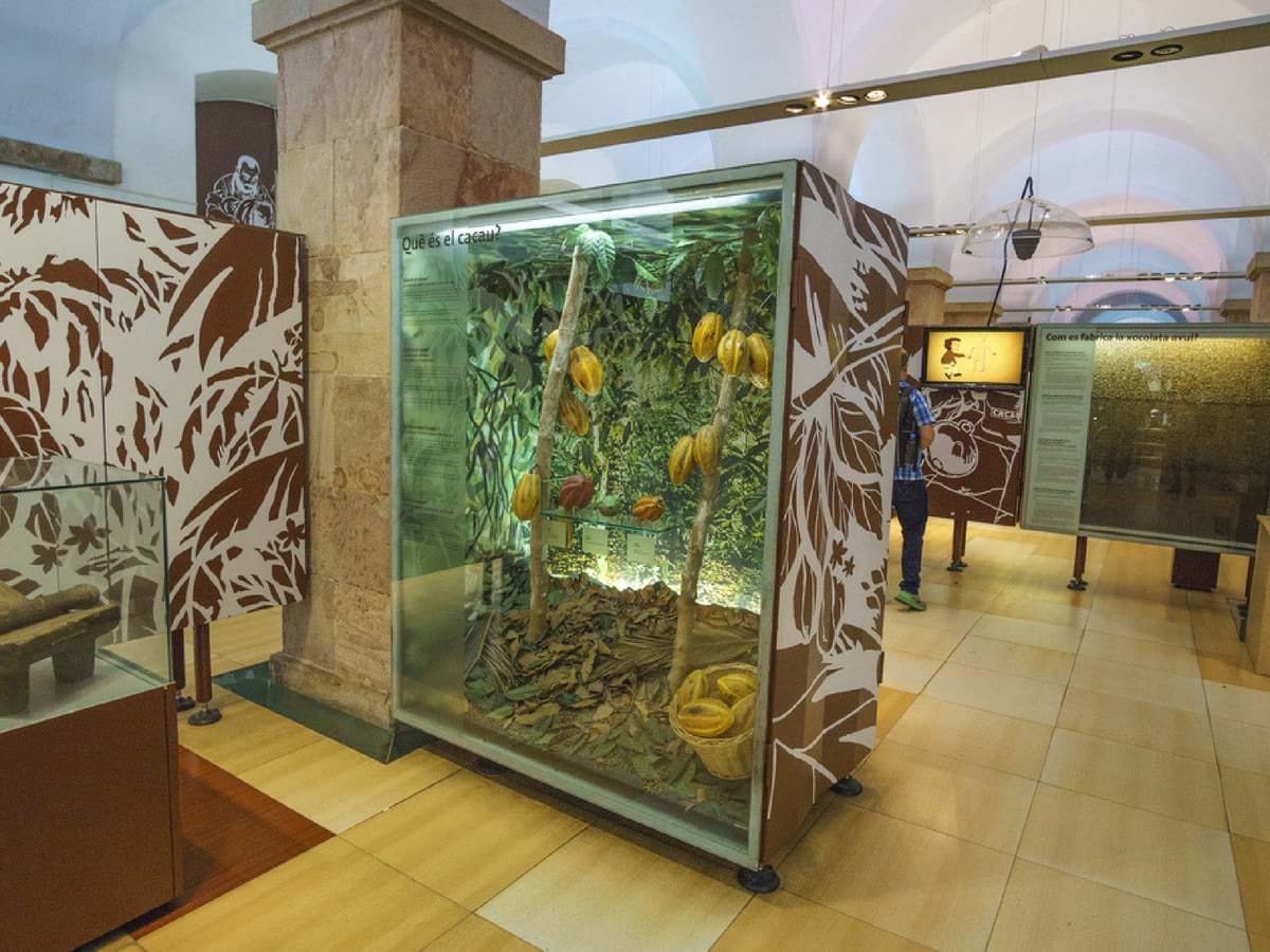 Barcelona Chocolate Museum