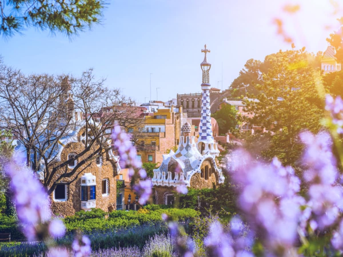 Natural elements and flowers in Park Güell