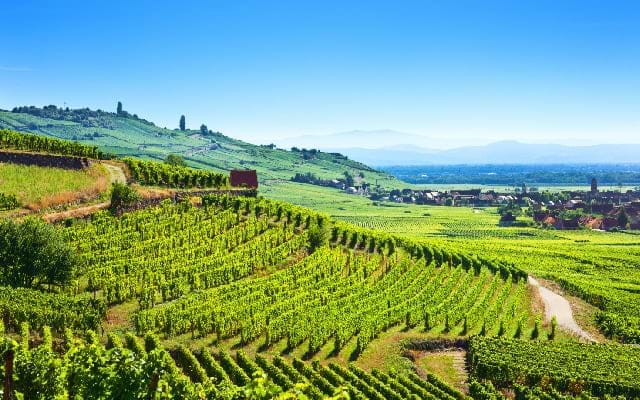 Wine & Cheese Tasting Tours Paris. Book now City Wonders