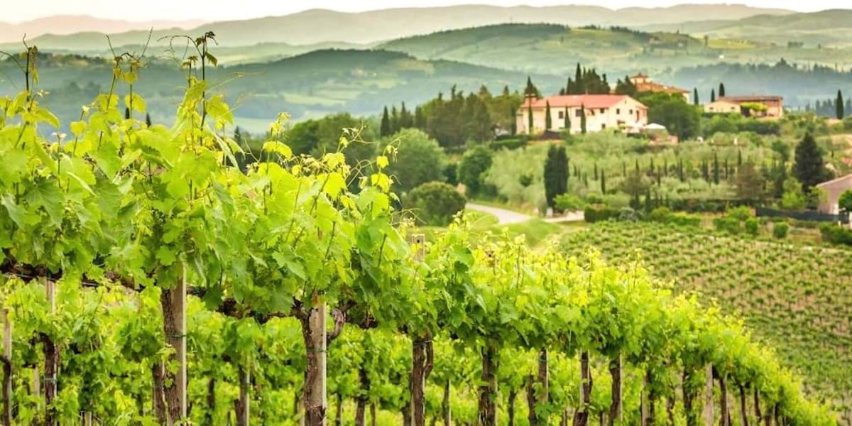 Best wine tours in Italy. Check our tours from Rome City Wonders