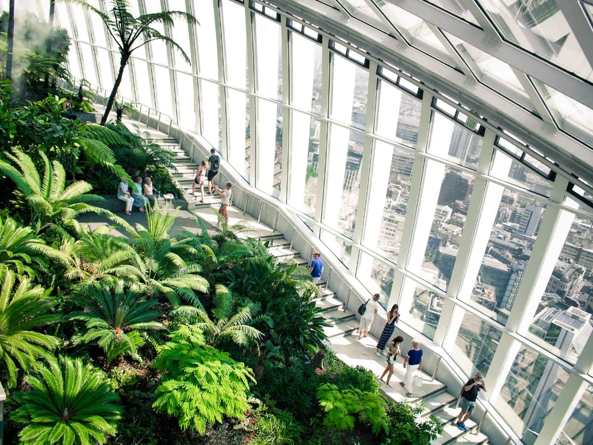 sky garden view
