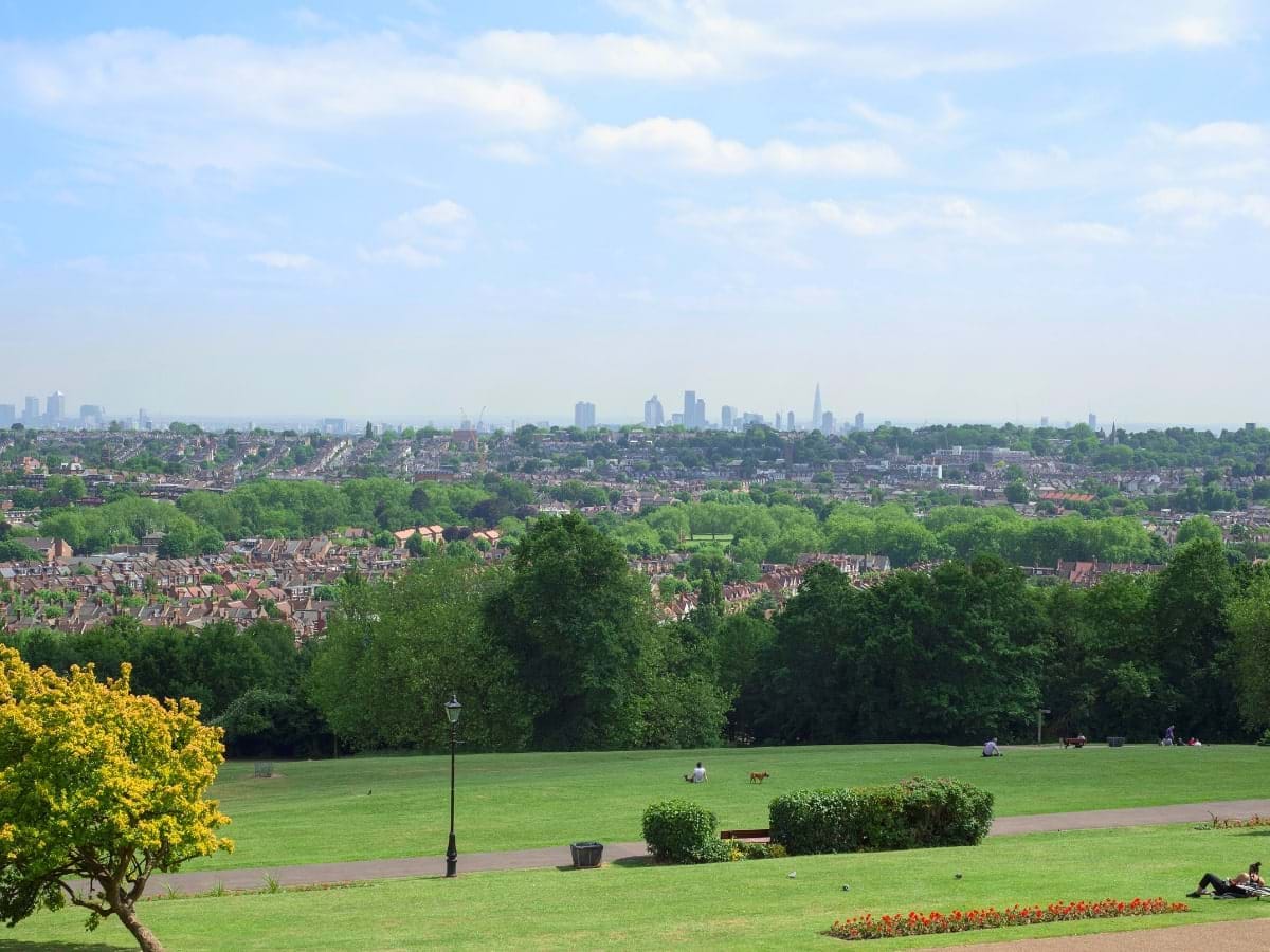 view from alexandra palace