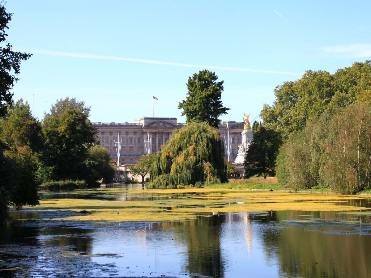 buckingham palace