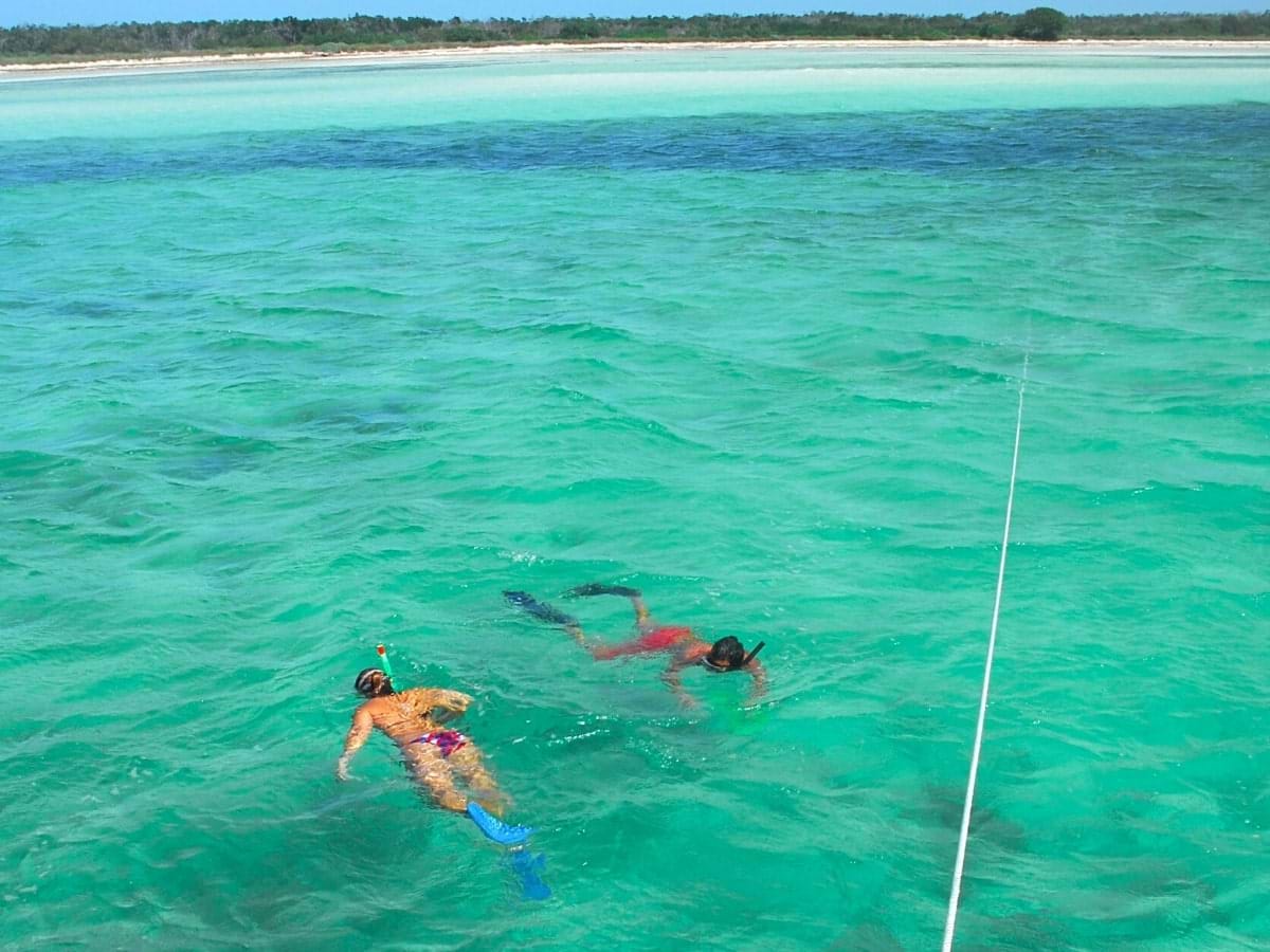 Key West Snorkeling and Dolphin Watching Experience City Wonders