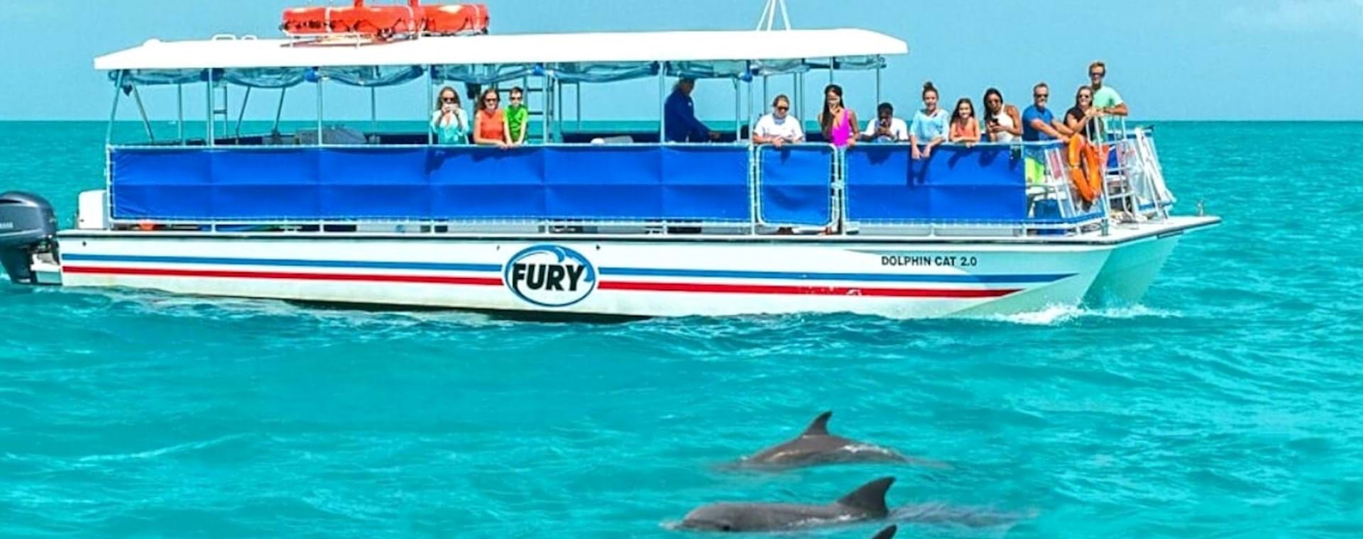 Tourists watching dolphins swim of the coast of Key West