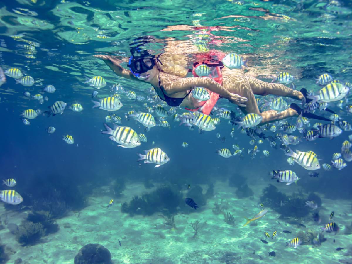 Isla Mujeres Catamaran, Snorkel & National Bar Experience City Wonders