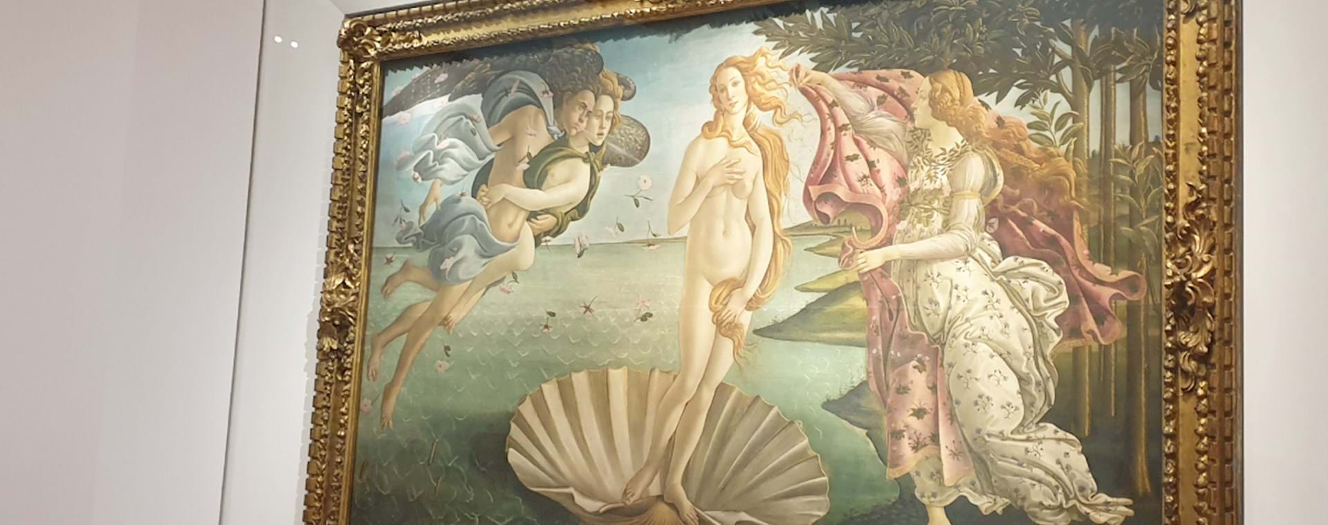 La venere di Botticelli
